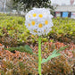 Lumière Douce du Jardin – Lampe solaire.